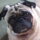 Dixie Parsons - @DixieParsons - Twitter