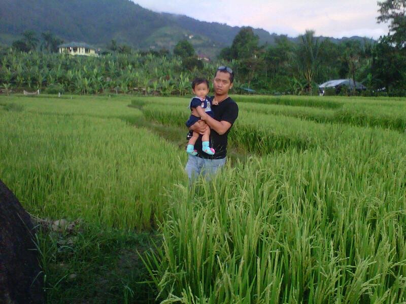 andrianrania's profile picture. Founder @orangeproject11 l  Financial Planner @Generali_ID I 081806089269 l