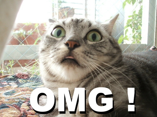 CzerwonaWoda's profile picture. Jest to strona mająca na celu naigrywać się z absurdów jakie można na codzień spotkać przebywając w miejscowości Czerwona Woda.