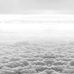 fakedoi_1's profile picture. 