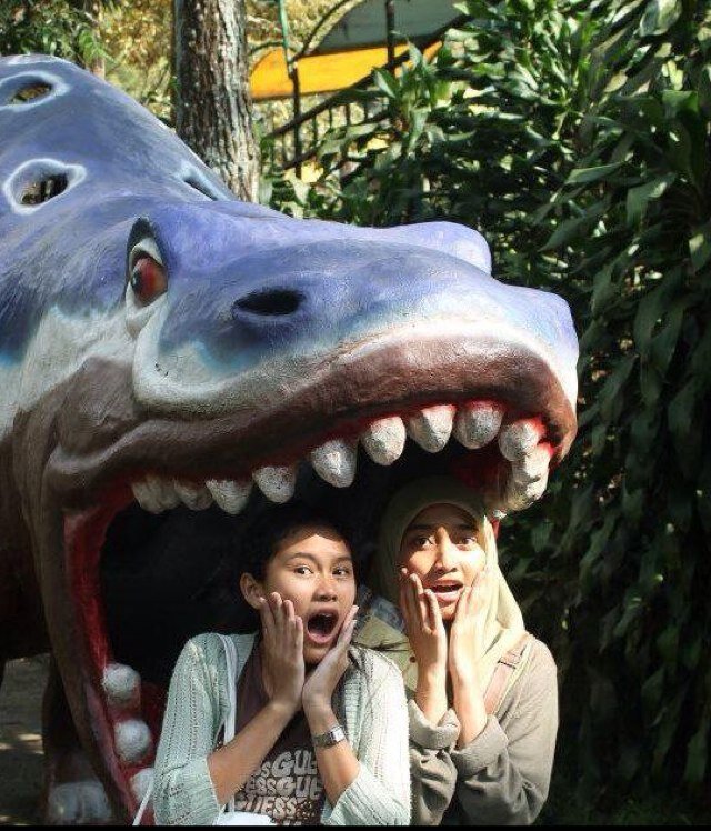 marwahsr's profile picture. 