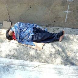 Help2Homeless's profile picture. 