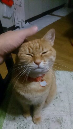 ヘタレネトゲ民族ですね。