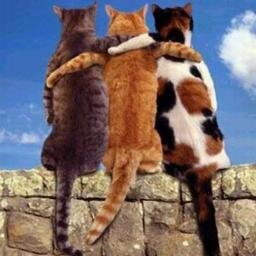 batur_pelin's profile picture. arkadas var arkadas var!