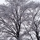 debbie sommer - @SommerDebbie - Twitter