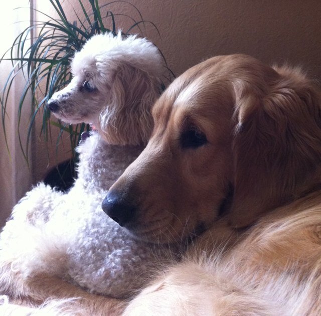 MinnieBrent's profile picture. meh...