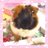 ゆりもっちままのアイコン