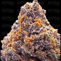 Best Strains

We do not own pictures posted.