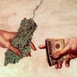 Money on my mind. Smoke in my lungs. Stoner. Student. Here to share the medicine. Follow for high thoughts and lets love each other. Be a #DopeStoner