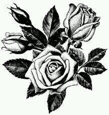 RFRStreetteam's profile picture. Street Team to help support Roses For Raychael. Go check them out in the link below! Wanna help? Email: rosesforraychaelstreetteam@gmail.com