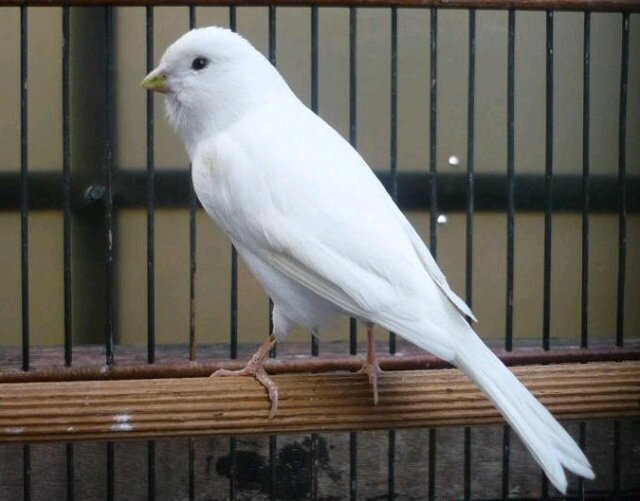 RyanChamdani's profile picture. Hidup cuman sekali. Buatlah hidup ini brarti ok