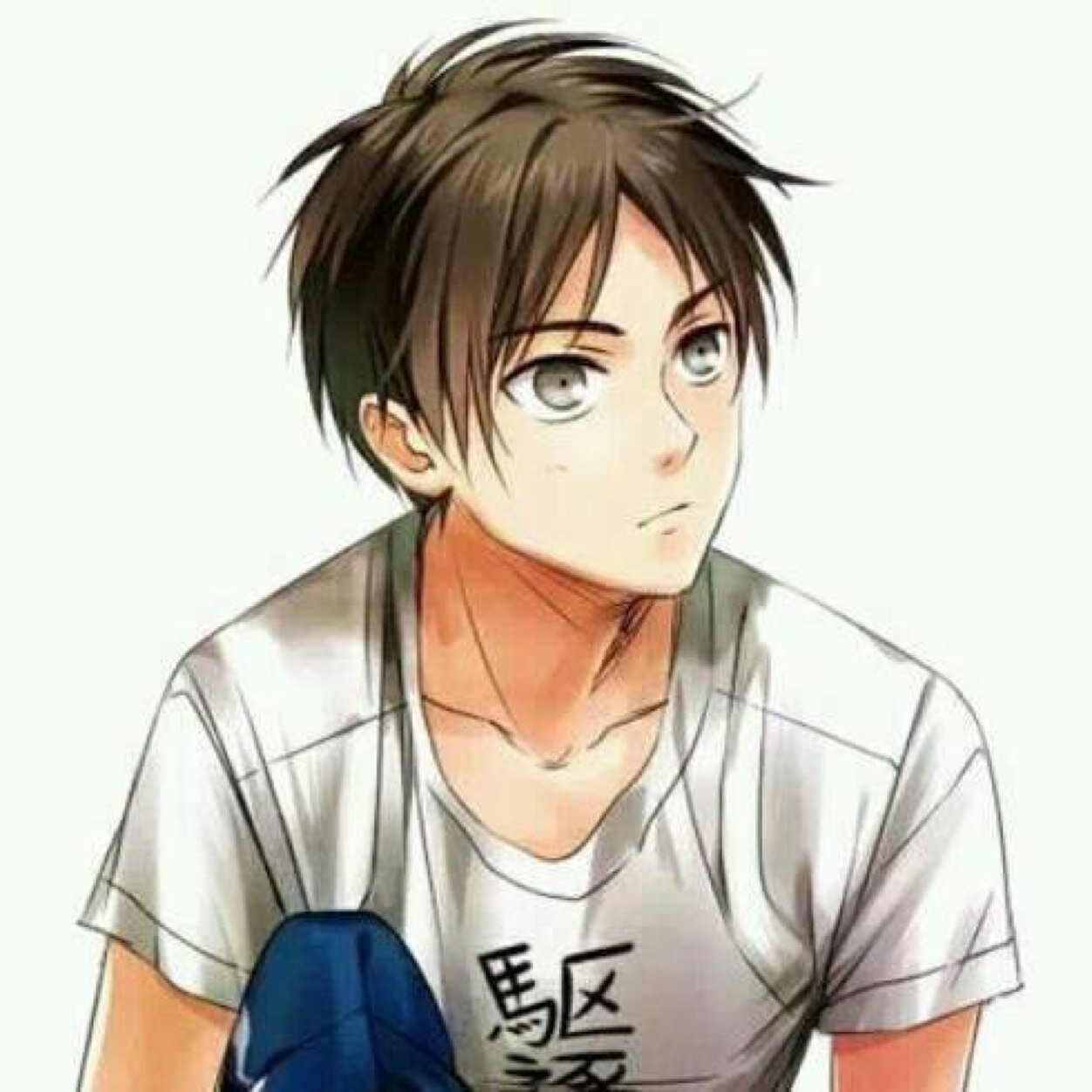15. ¡Los mataré a todos! Titan a ratos. Mejor amigo de Mikasa y Armin. Legión de Reconocimiento. #RP
