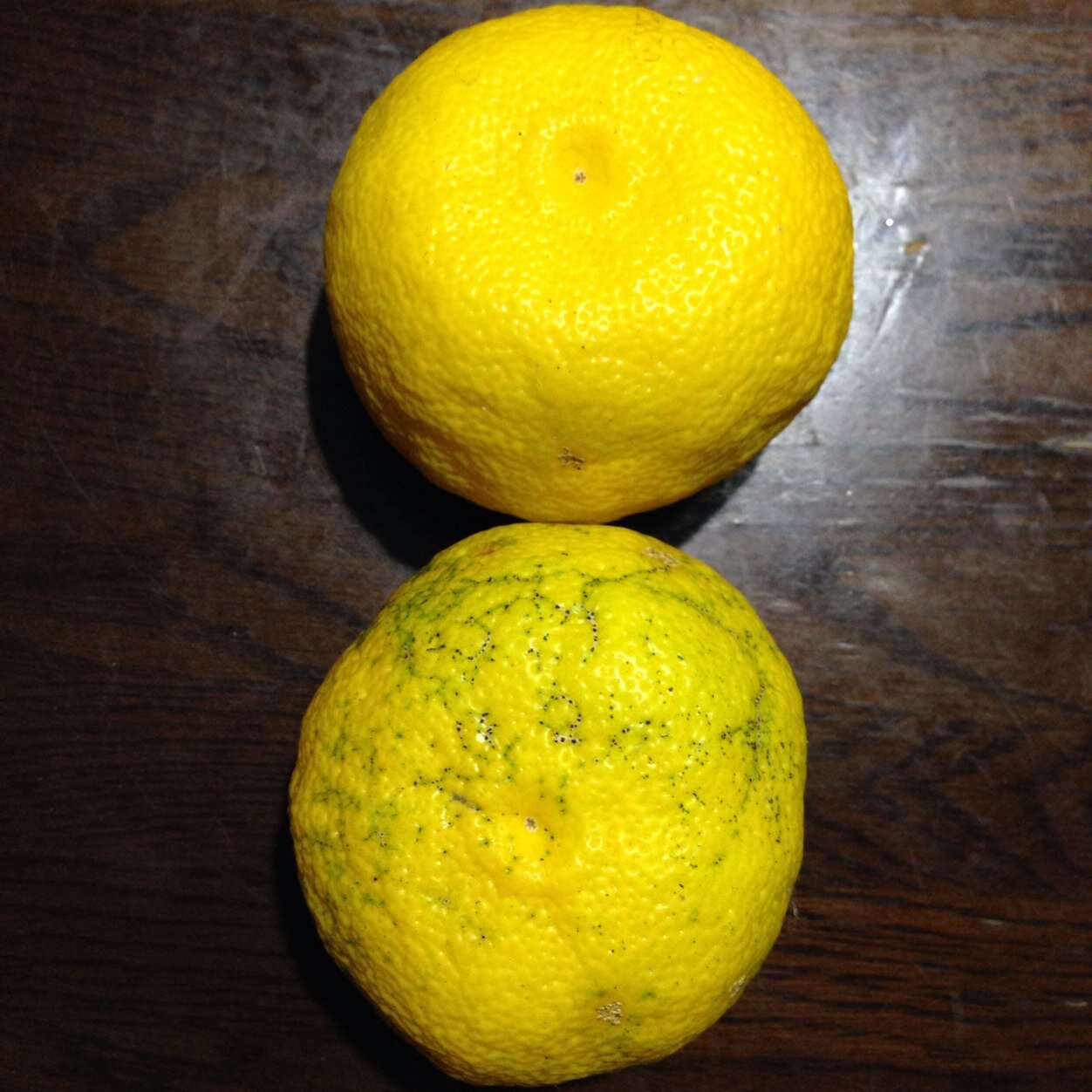 whitenight_y's profile picture. 旅行、歴史、写真、建築物、神社仏閣、お城が大好物。歴史番組、お城特集は必ずチェック。京都、奈良、滋賀も好き。関西に移住したい。