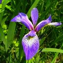 Barbara Schott - @schottieb - Twitter