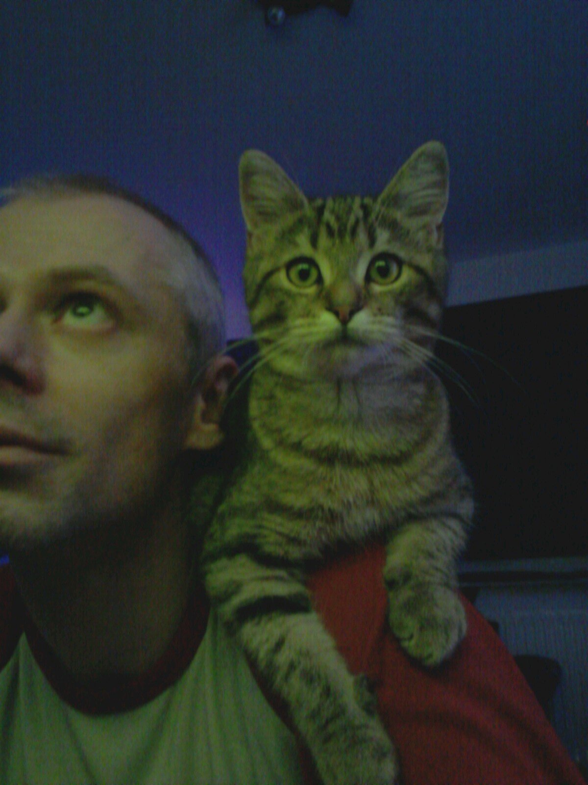 garnelenzüchter, androidliebhaber, Herr der Katzen..