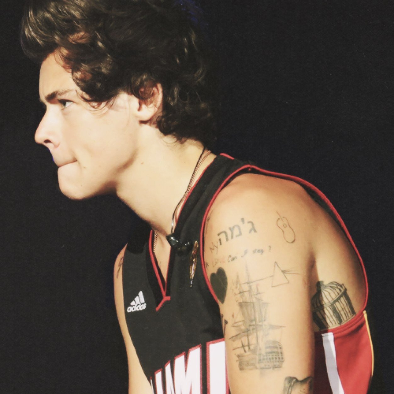 17. Sancando sonrisas desde entonces / Me jodes te jodo / Escribiendo ... / One Direction como forma de vida / Mi idolo, Harry Styles / ❤
