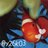 y26k03's profile image
