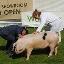 Brook House Farm - @BrookHouseFarm - Twitter