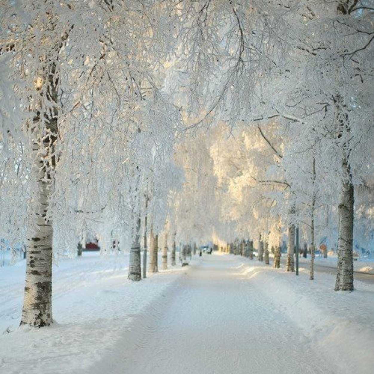 p_rajman's profile picture. 