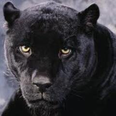 pr_sadrak_mcd Profile Picture