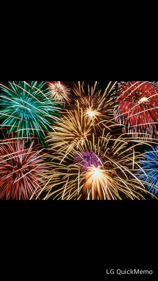 wij pleiten voor een vuurwerk verbod