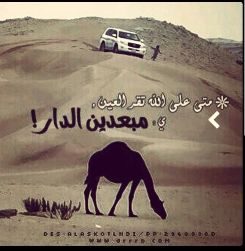 سبحان الله وبحمده سبحان الله العظيم