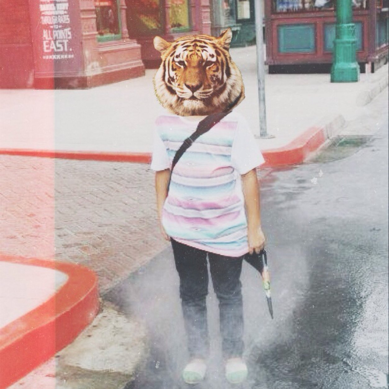 Nadyarizky