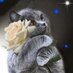 Martin Ama (@araguasama) Twitter profile photo Martin Ama (@araguasama) Twitter profile photo