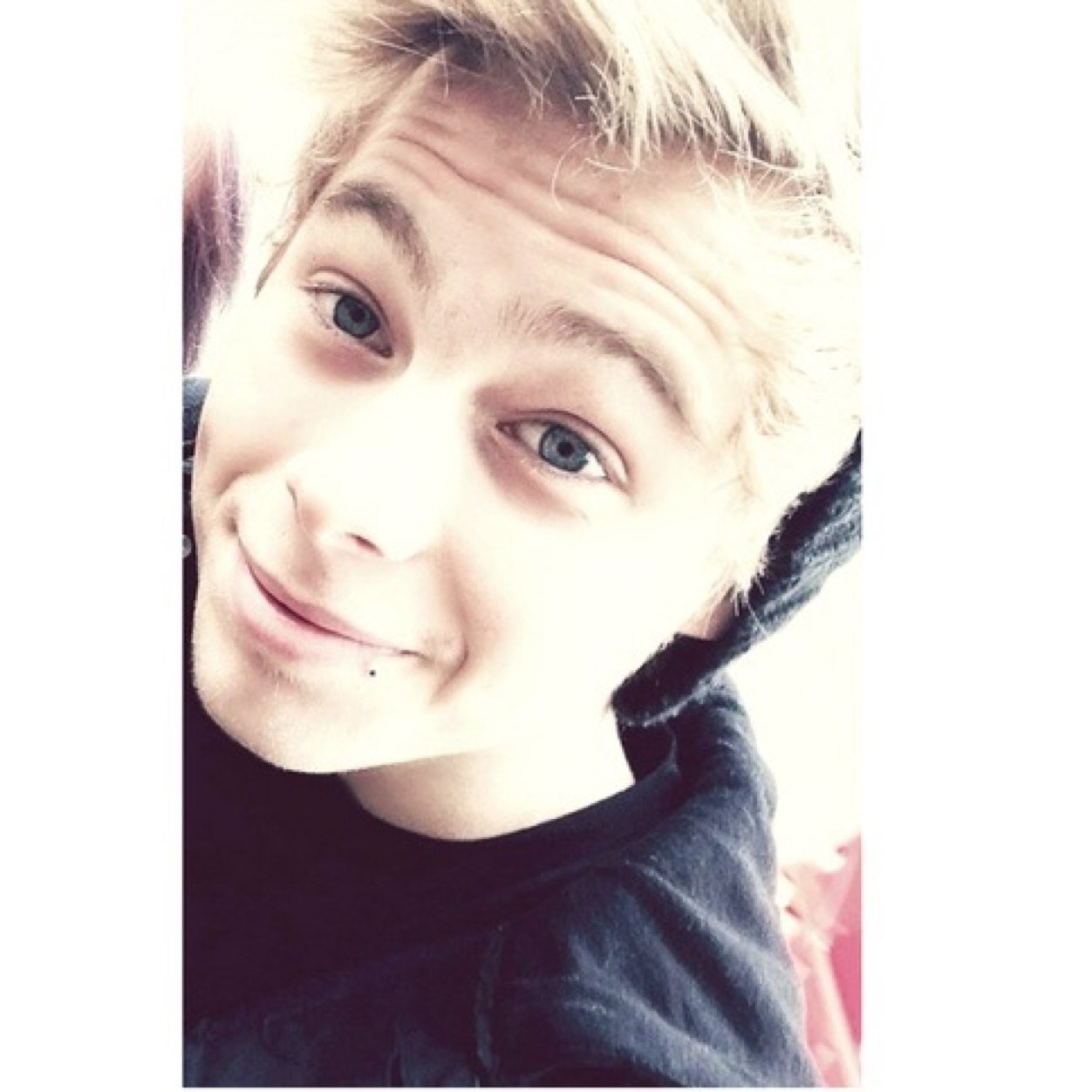 pizza is better than you || gay is okay. || Haz's little cat