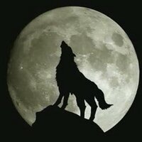 KARAMANOĞLU MEHMET (@_karaferye) 's Twitter Profile