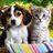PostBadPet's profile image