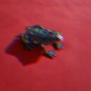 Eva Kaufmann - @KaufmannEva - Twitter