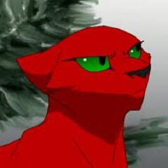 A red, shy kit with black paws and green eyes. (CLAN: None) (Theme Song: Bad Romance) (Mate: none) Has no Family... #Female #Single