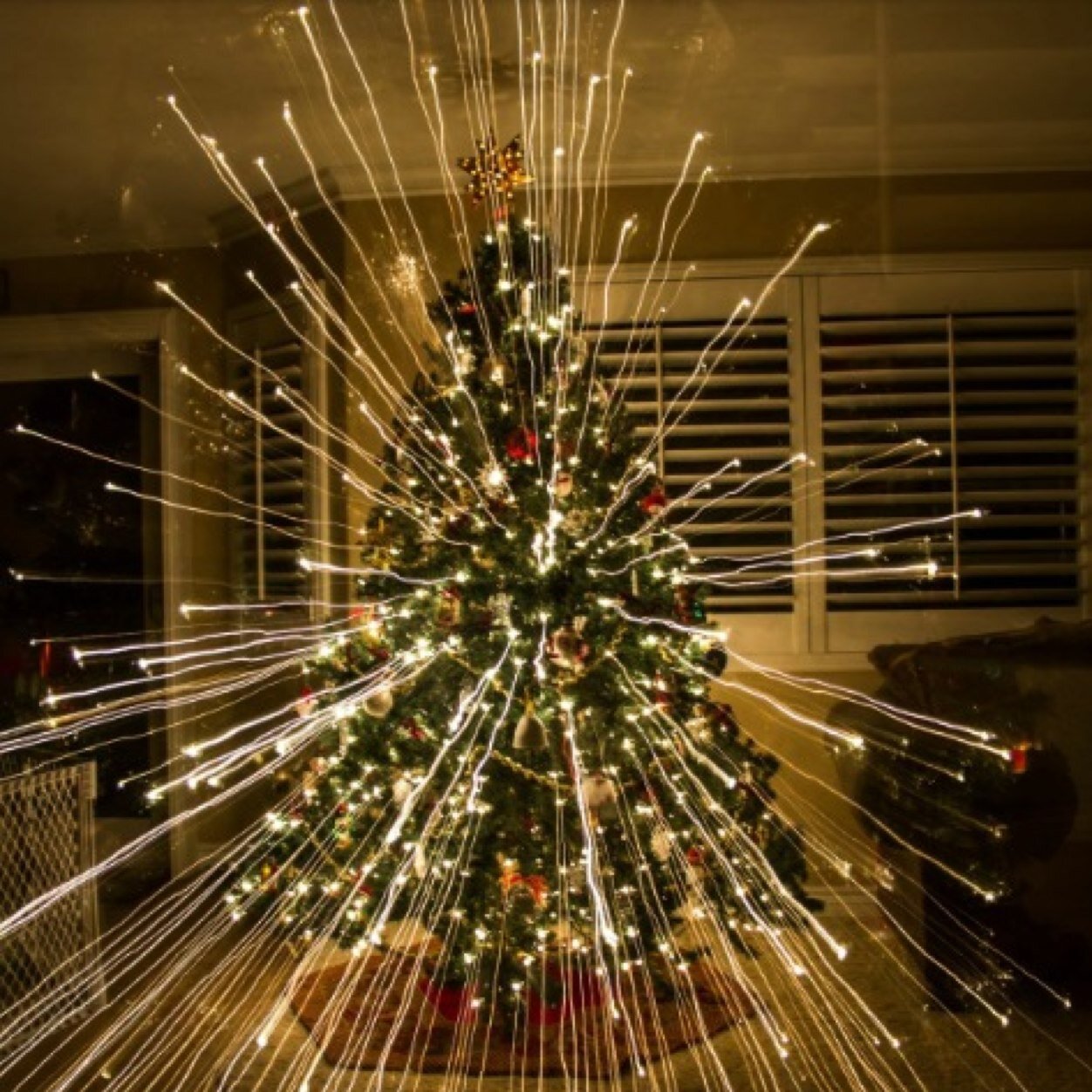 5 co-owners and 1 owner, just obsessing over christmas(: