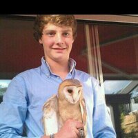 Barry Toes (@borryjoop) 's Twitter Profile