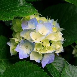 http://t.co/JSfgvKbETK
http://t.co/2kxAVmzoM2
http://t.co/kBafq9DlcZ
[url=http://t.co/0NNvZtHrtX]
http://t.co/q7tgv8negm