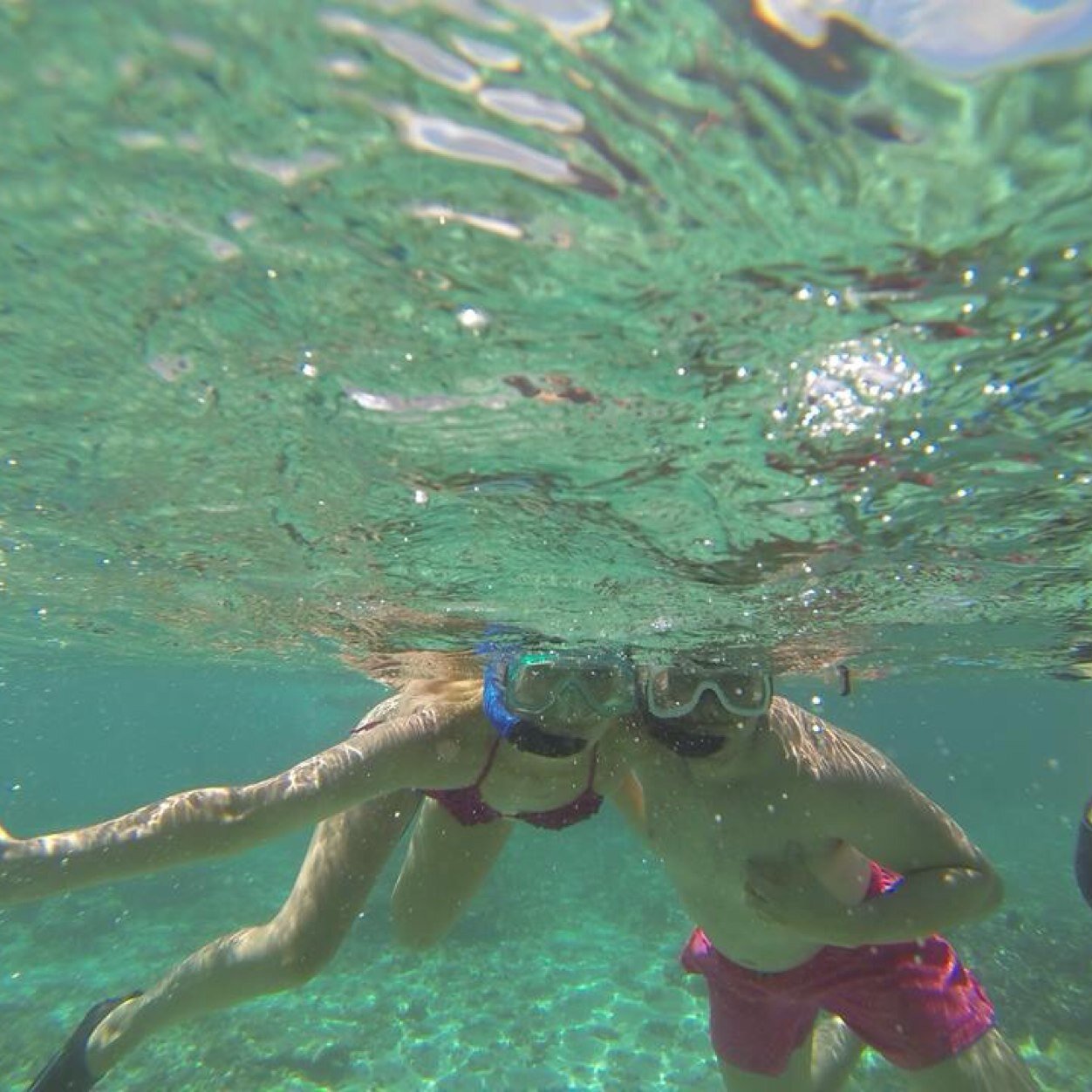 CalinWil's profile picture. 