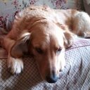 Rose Boucher - @rbl0123 - Twitter