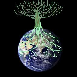 rootsandroutesr's profile picture. Videos about the intersection of history, math, science, language, and genealogy