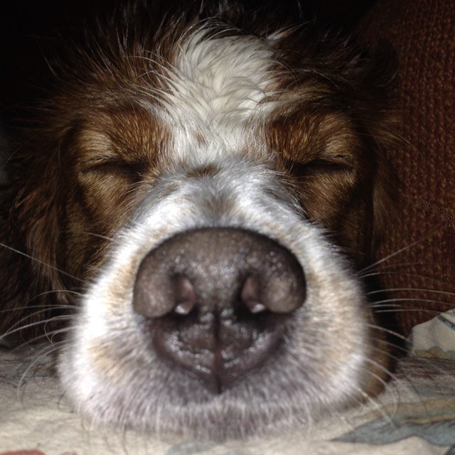 19XxlouisxX95's profile picture. 