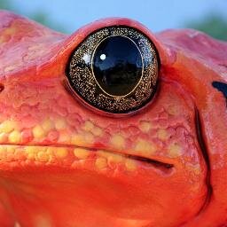 astronofrog's profile picture. Astronomer, anarchist, activist, analyst