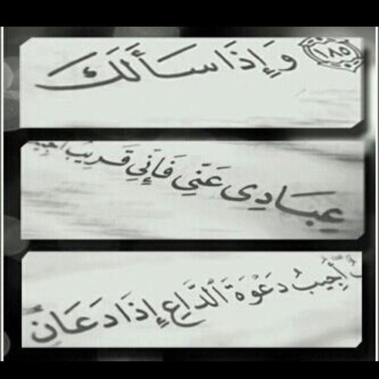 ومامن كاتب الاسيفنى*ويبقى الدهر ماكتبت يداه*فلاتكتب بيمينك غيرشي*يسرك في القيامه ان تراه(بكالوريس دراسات اسلاميه+خبره في رياض الاطفال+دورات وانشطه+شاعره)