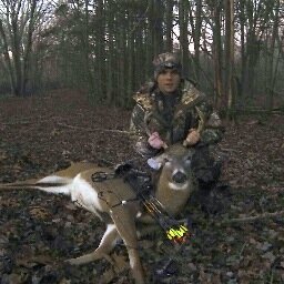Pcdougherty's profile picture.