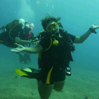 Seyda Tayfun (@seydatayfun) 's Twitter Profile