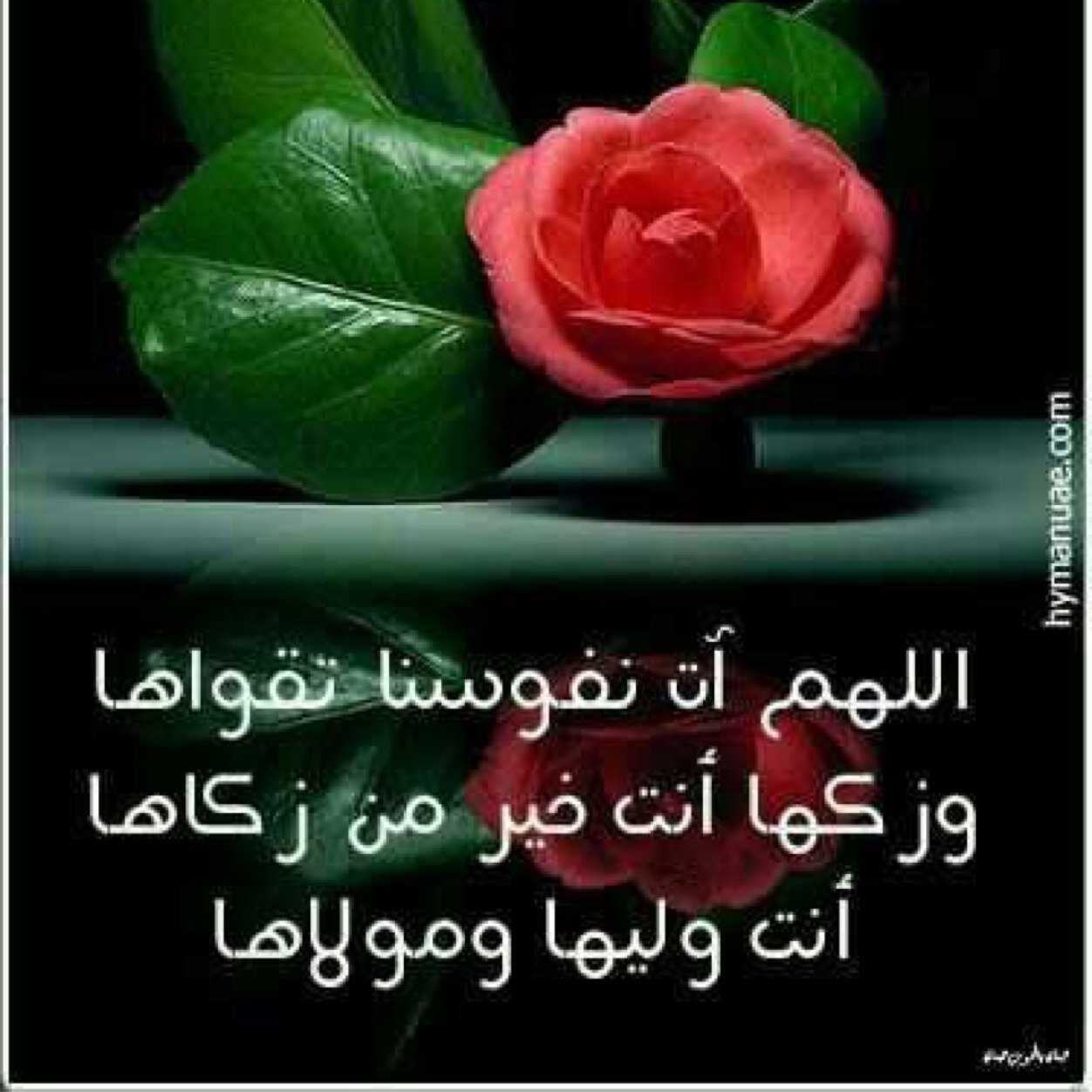 استغفر الله والحمدلله والله اكبر