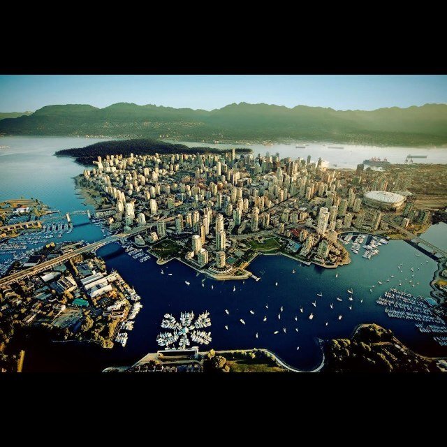 Canucks | Blue Jays | Raptors | Seahawks 🇨🇦🇮🇱        -- CEO of triggering goat fuckers ---