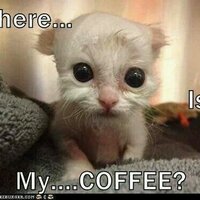 Misty Hailey (@rnstudent15) 's Twitter Profile