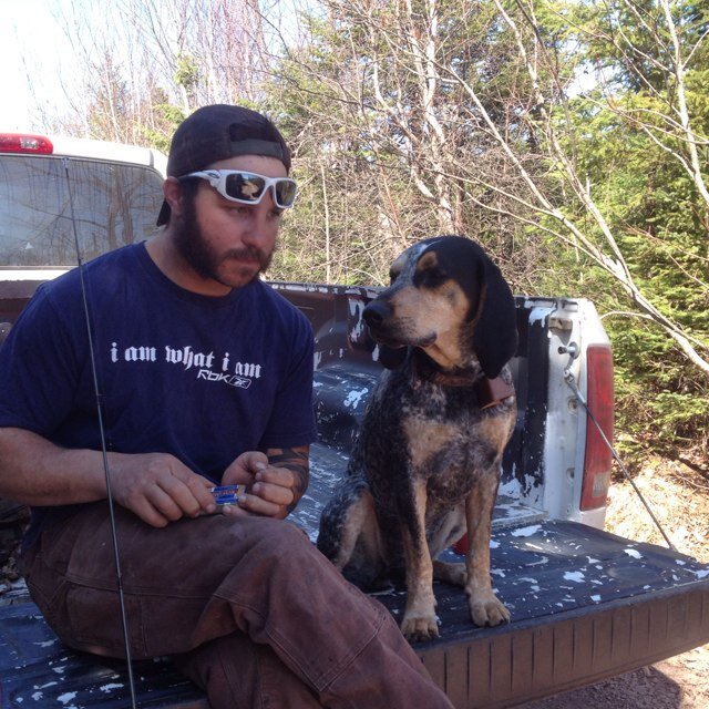 bsillie's profile picture. 