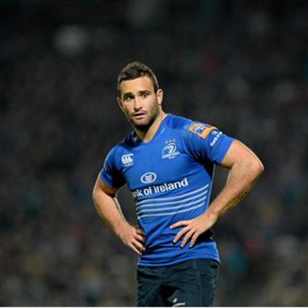 Dave Kearney Profile