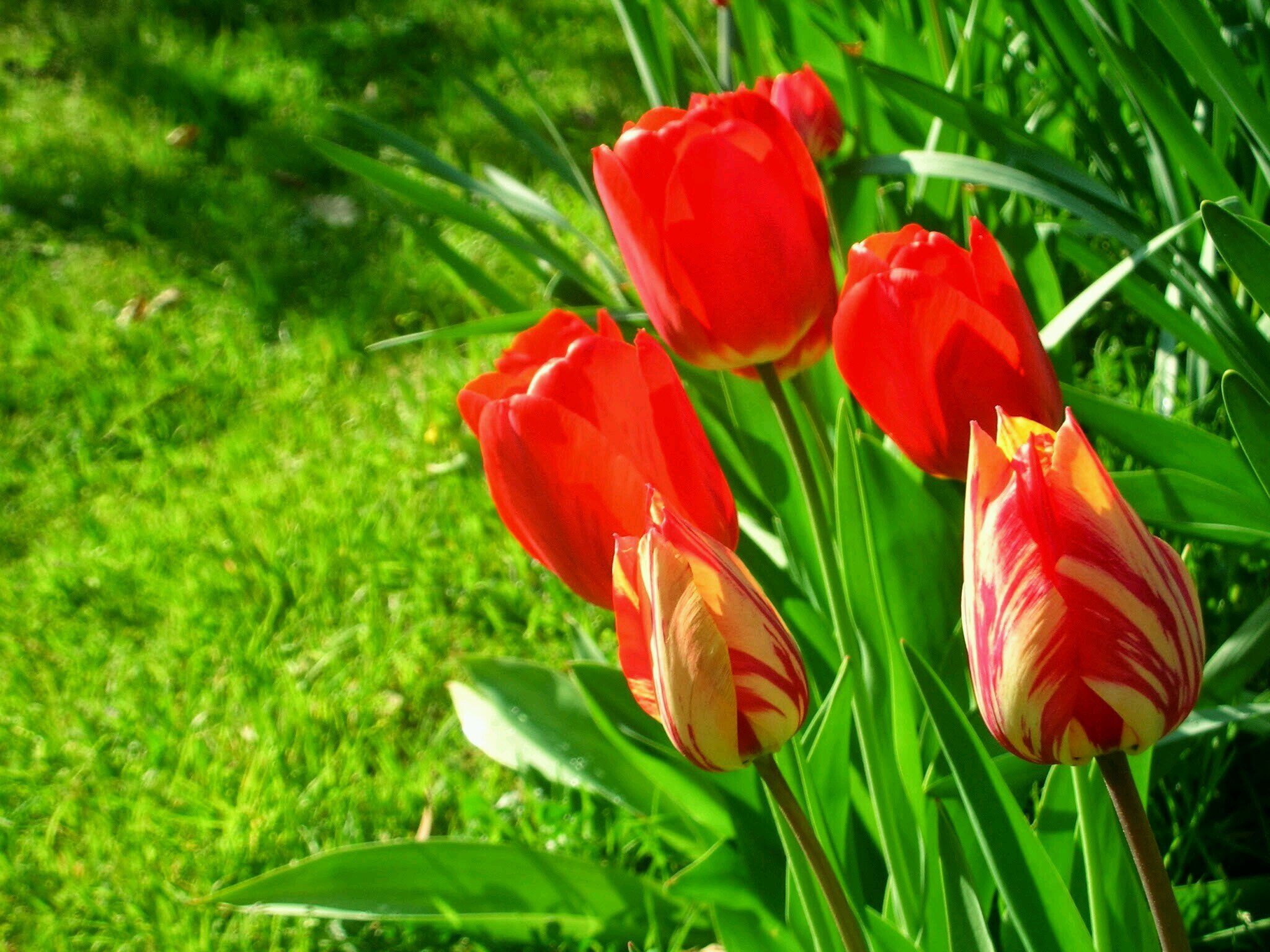 AnaMariaAiraDaz's profile picture. Bióloga UB. Mare d'Arnau (2006).